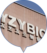 Cmp(冠军)官网 - 西甲希洪竞技主赞助商